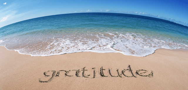 gratitude 11