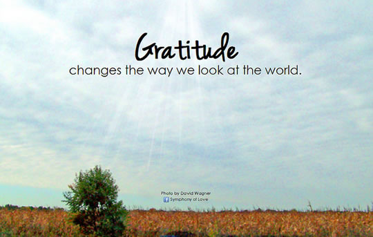 gratitude 12